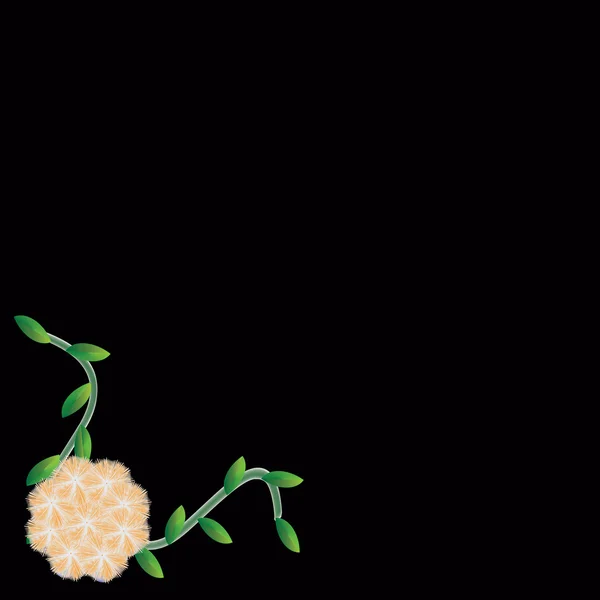 フレームの花 — ストック写真