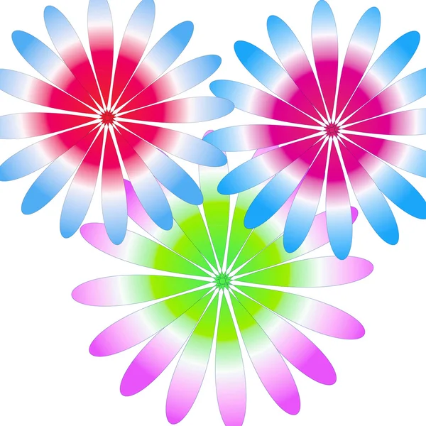 Flower on background — Stock Photo, Image