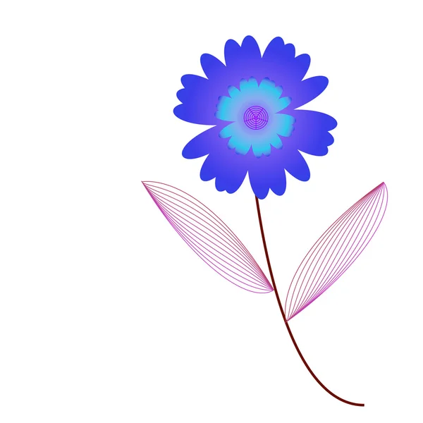 白い背景の上のフレームの花 — ストック写真