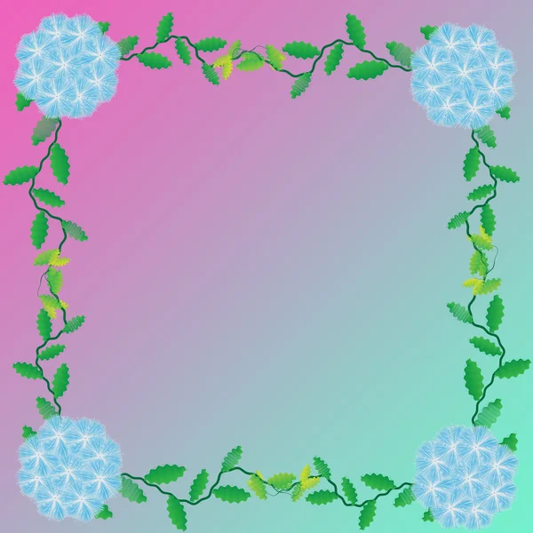 Blume des Rahmens — Stockfoto