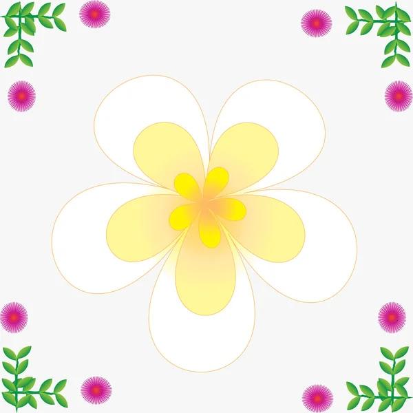 Kwiat rama — Zdjęcie stockowe