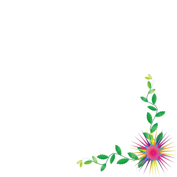 Λουλούδι πλαισίου σε λευκό φόντο — 图库照片