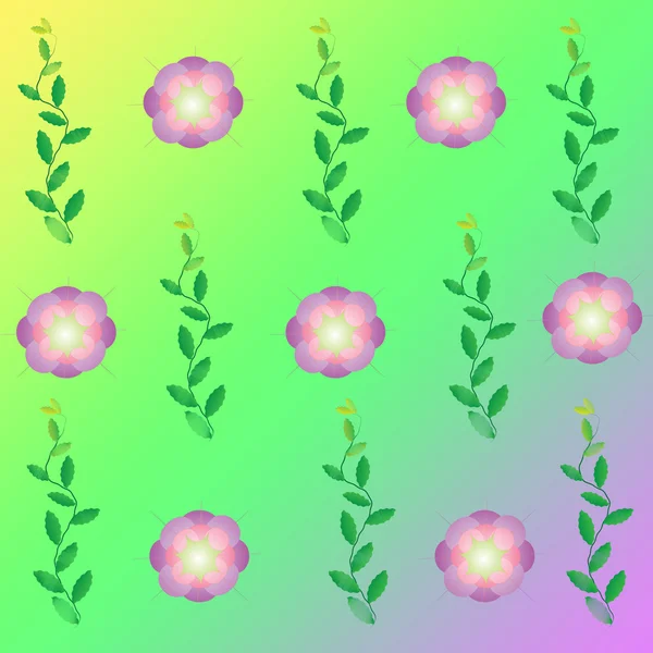 Fleur de cadre sur fond de couleur — Photo