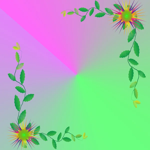 Renkli arka plan üzerinde çerçeve çiçek — Stok fotoğraf