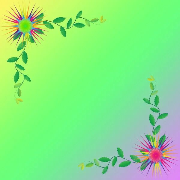 Квітка рамки на кольоровому фоні — стокове фото