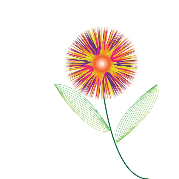 白い背景の上のフレームの花 — ストック写真