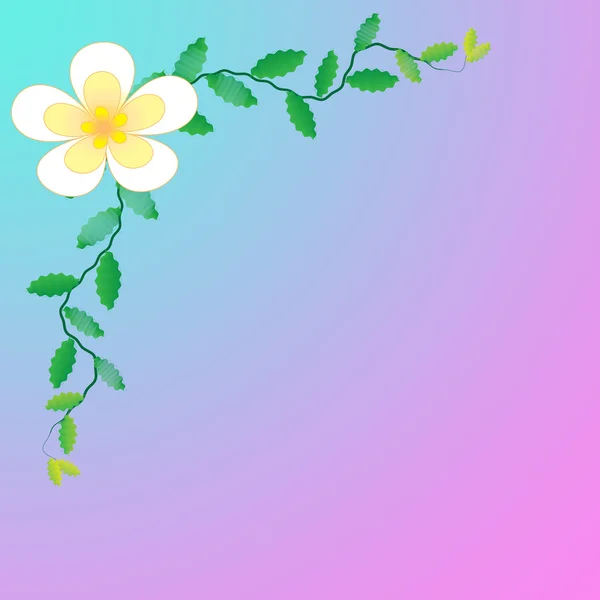 フレームの花 — ストック写真