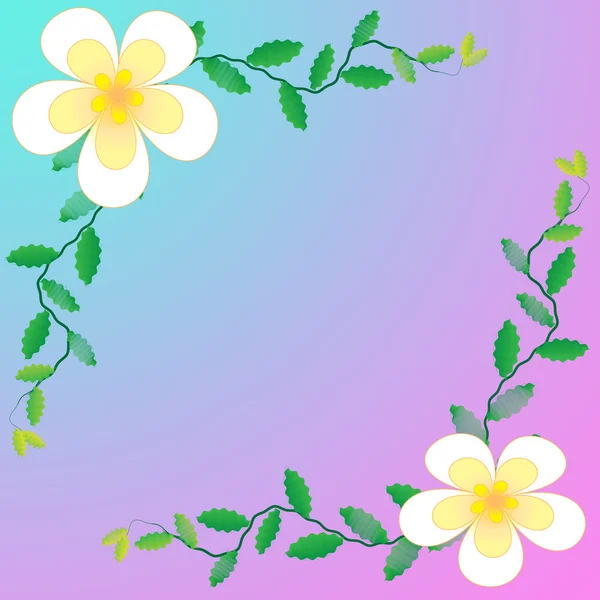 Цветок рамы — стоковое фото