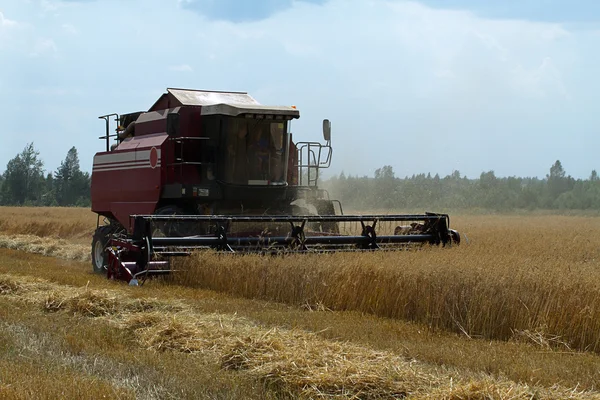 stock image Harvest