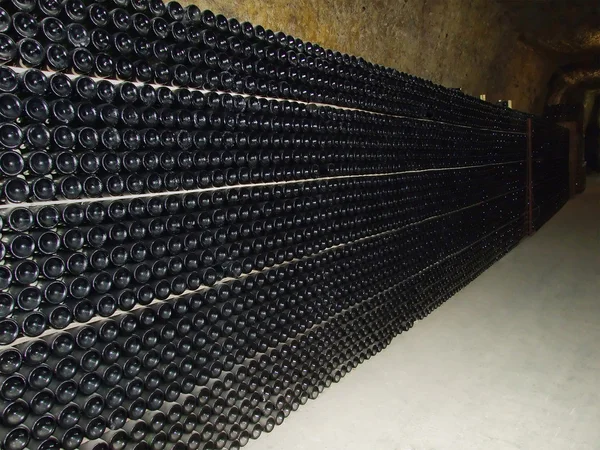 Wine cellar Stock Image