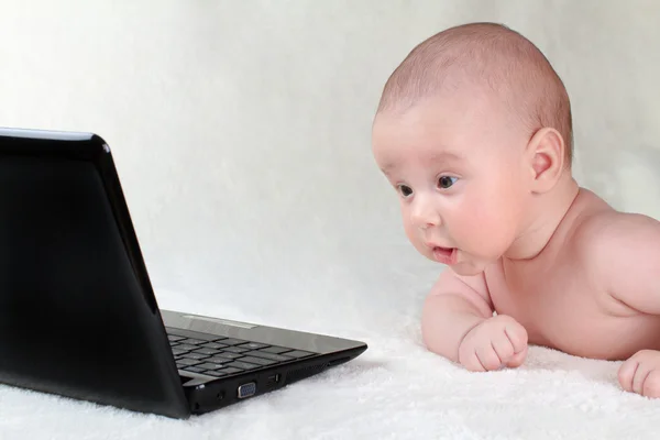 Μωρό ενδιαφέρον laptop — Φωτογραφία Αρχείου