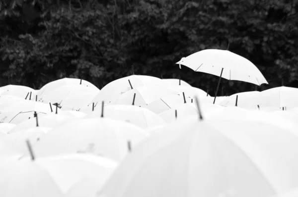 Umbrella party — Stock Photo, Image