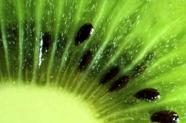 Stock image Kiwi fruit