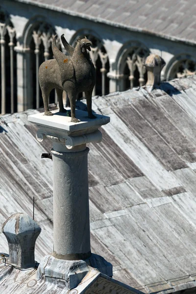 Grifone di Pisa — Foto Stock