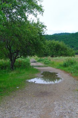 Rusya'nın Park