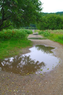 Rusya'nın Park