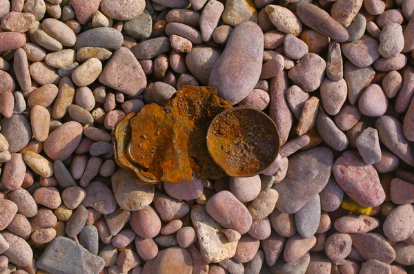 Lata em uma praia de pedra — Fotografia de Stock
