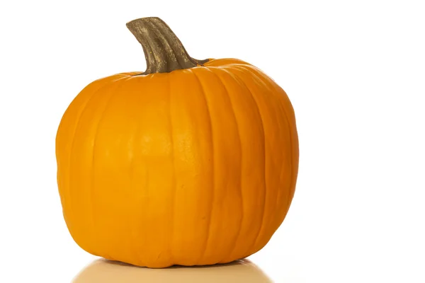 stock image Orange Pumpkin Isolated on White