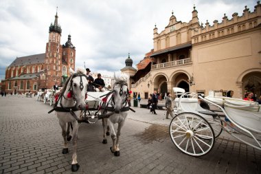 The historical center of Krakow clipart