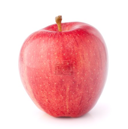 manzana